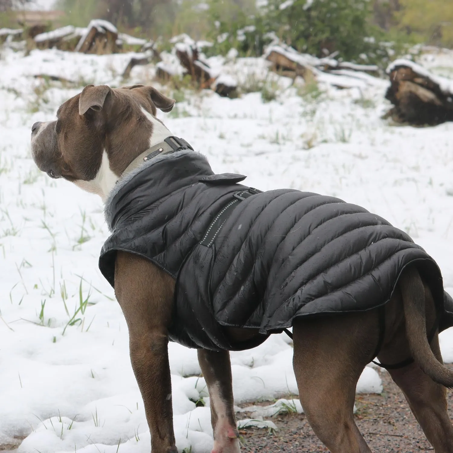 BLACK ALPINE EXTREME WEATHER PUFFER DOG COAT