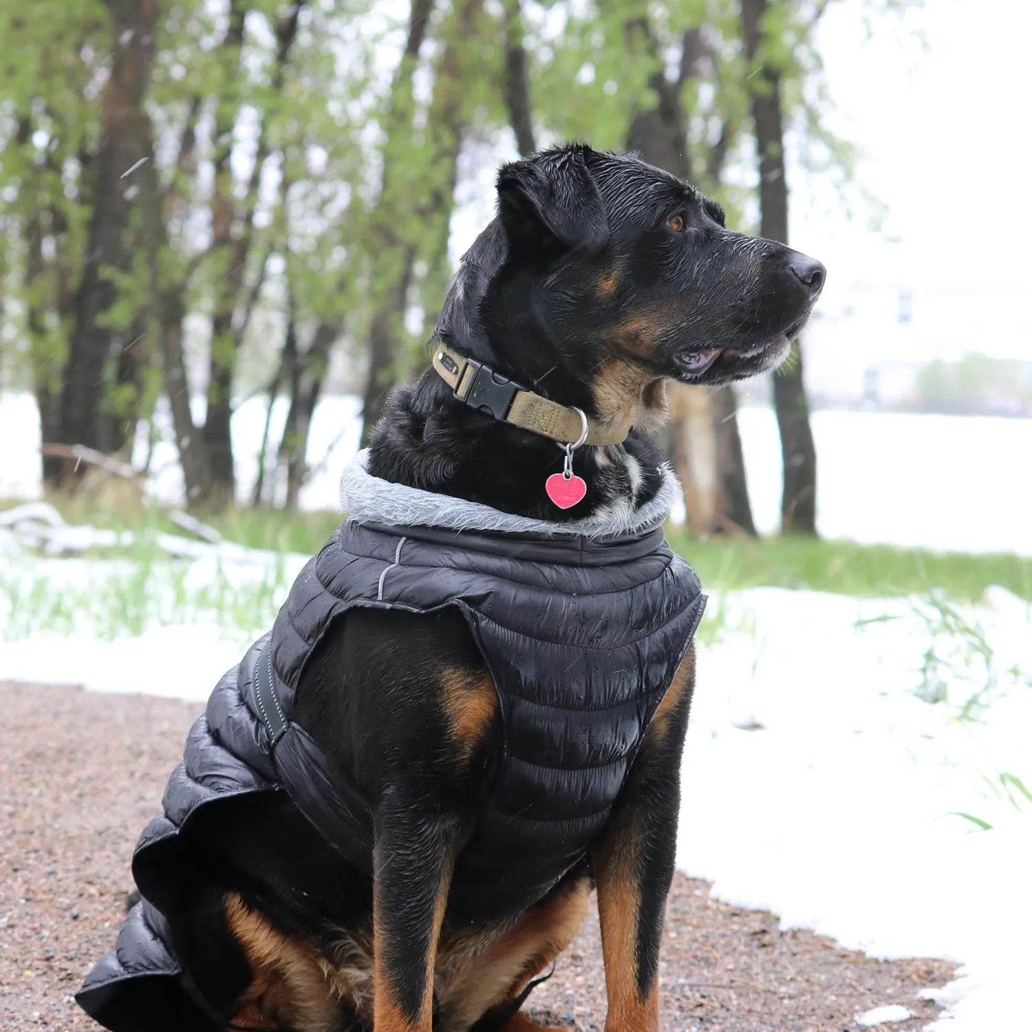 BLACK ALPINE EXTREME WEATHER PUFFER DOG COAT